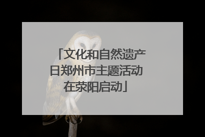 文化和自然遗产日郑州市主题活动在荥阳启动