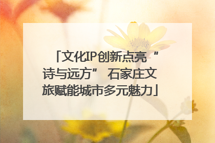 文化IP创新点亮“诗与远方” 石家庄文旅赋能城市多元魅力