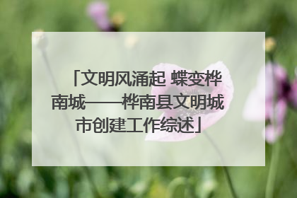 文明风涌起 蝶变桦南城——桦南县文明城市创建工作综述