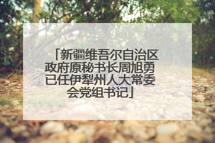 新疆维吾尔自治区政府原秘书长周旭勇已任伊犁州人大常委会党组书记