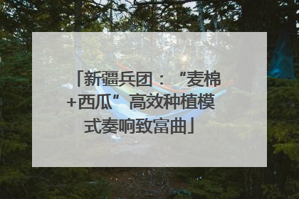 新疆兵团：“麦棉+西瓜”高效种植模式奏响致富曲