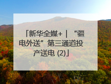 新华全媒+｜“疆电外送”第三通道投产送电 (2)