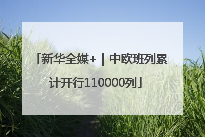 新华全媒+｜中欧班列累计开行110000列