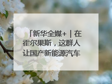 新华全媒+｜在霍尔果斯，这群人让国产新能源汽车“跑”向中亚