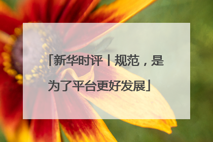 新华时评丨规范，是为了平台更好发展