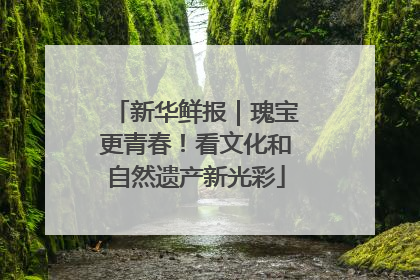 新华鲜报｜瑰宝更青春！看文化和自然遗产新光彩