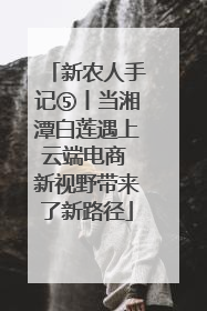 新农人手记⑤丨当湘潭白莲遇上云端电商 新视野带来了新路径