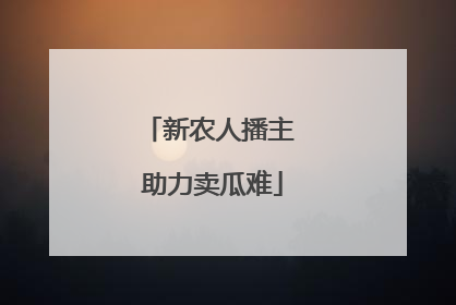 新农人播主 助力卖瓜难