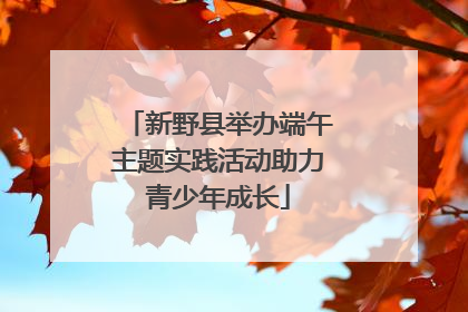 新野县举办端午主题实践活动助力青少年成长