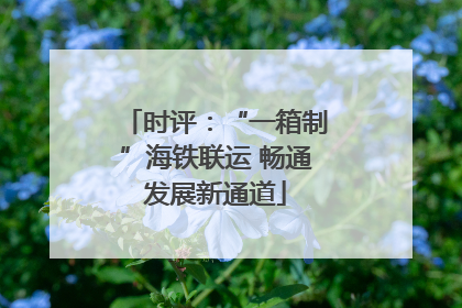 时评：“一箱制”海铁联运 畅通发展新通道