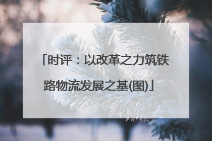 时评：以改革之力筑铁路物流发展之基(图)