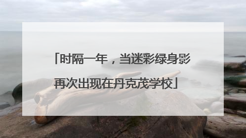 时隔一年，当迷彩绿身影再次出现在丹克茂学校