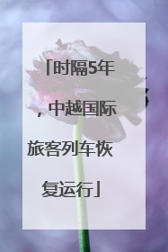 时隔5年，中越国际旅客列车恢复运行