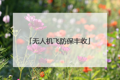 无人机飞防保丰收