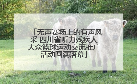 无声赛场上的有声风采 四川省听力残疾人大众篮球运动交流推广活动圆满落幕