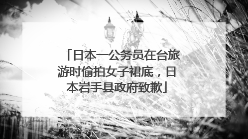 日本一公务员在台旅游时偷拍女子裙底，日本岩手县政府致歉