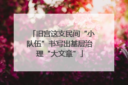 旧宫这支民间“小队伍”书写出基层治理“大文章”