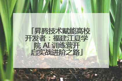 昇腾技术赋能高校开发者：福建江夏学院 AI 训练营开启实战进阶之路