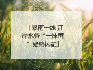 暴雨一线 江岸水务“一抹黄”始终闪耀