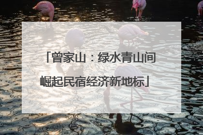 曾家山：绿水青山间崛起民宿经济新地标