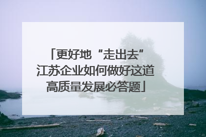 更好地“走出去” 江苏企业如何做好这道高质量发展必答题