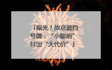 曝光！故意遮挡号牌，“小聪明”付出“大代价”