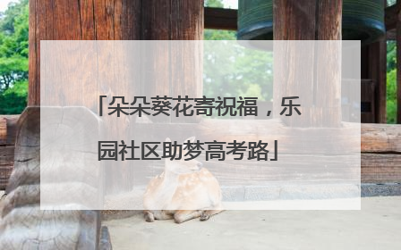朵朵葵花寄祝福，乐园社区助梦高考路