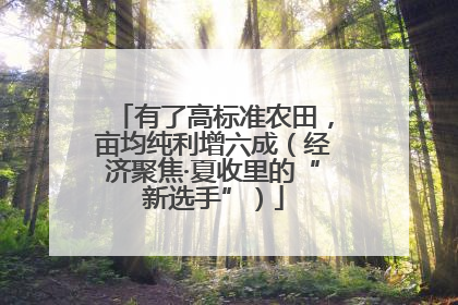有了高标准农田，亩均纯利增六成（经济聚焦·夏收里的“新选手”）