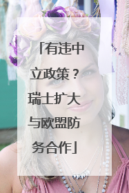 有违中立政策？瑞士扩大与欧盟防务合作