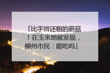 比手臂还粗的蘑菇!在玉米地被发现,柳州市民:能吃吗