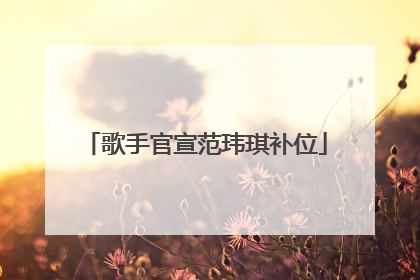 歌手官宣范玮琪补位