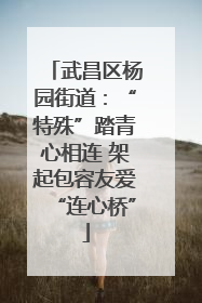武昌区杨园街道：“特殊”踏青心相连 架起包容友爱“连心桥”