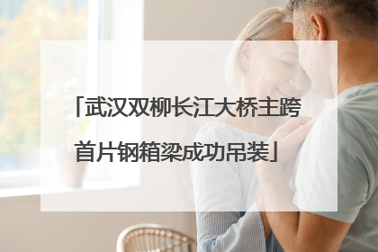 武汉双柳长江大桥主跨首片钢箱梁成功吊装