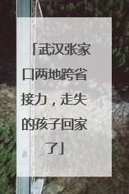 武汉张家口两地跨省接力，走失的孩子回家了