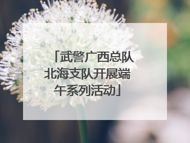武警广西总队北海支队开展端午系列活动