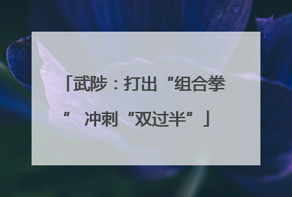 武陟：打出“组合拳” 冲刺“双过半”