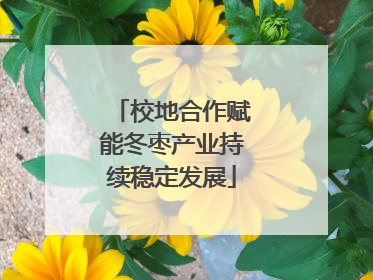 校地合作赋能冬枣产业持续稳定发展