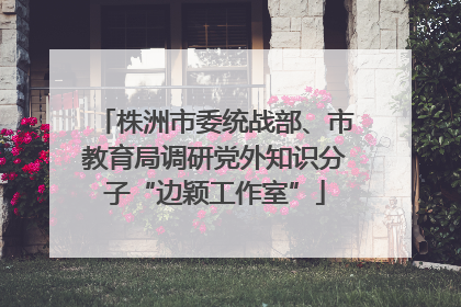 株洲市委统战部、市教育局调研党外知识分子“边颖工作室”