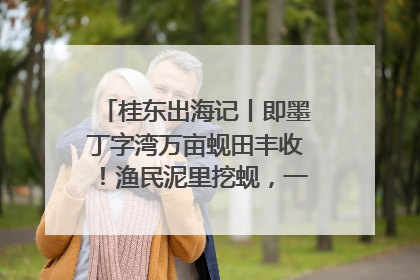桂东出海记丨即墨丁字湾万亩蚬田丰收！渔民泥里挖蚬，一天上岸过千斤