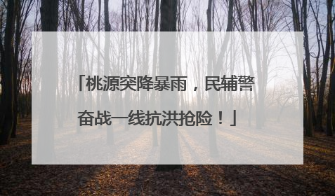 桃源突降暴雨，民辅警奋战一线抗洪抢险！