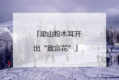 梁山粉木耳开出“致富花”