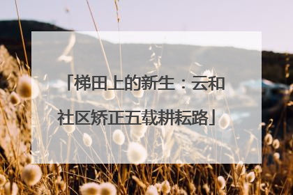 梯田上的新生：云和社区矫正五载耕耘路
