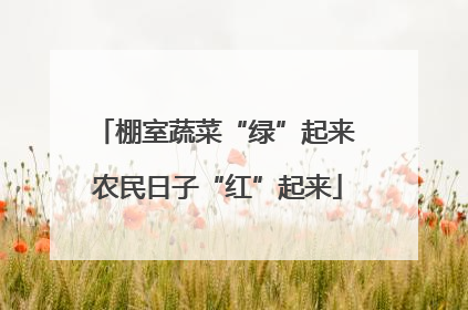 棚室蔬菜“绿”起来 农民日子“红”起来