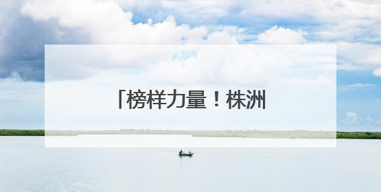 榜样力量！株洲一批“热血英雄”受省级表彰