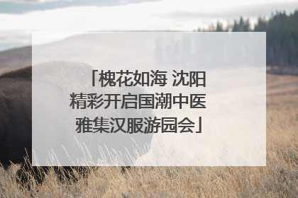槐花如海 沈阳精彩开启国潮中医雅集汉服游园会