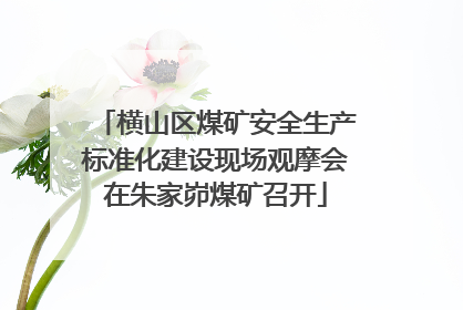 横山区煤矿安全生产标准化建设现场观摩会在朱家峁煤矿召开