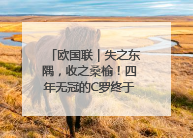欧国联｜失之东隅，收之桑榆！四年无冠的C罗终于再次举起奖杯