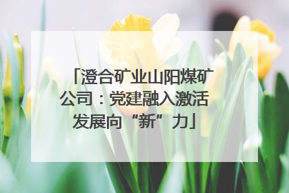 澄合矿业山阳煤矿公司：党建融入激活发展向“新”力