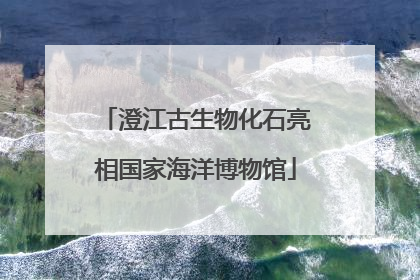 澄江古生物化石亮相国家海洋博物馆