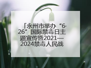 永州市举办“6·26”国际禁毒日主题宣传暨2021—2024禁毒人民战争成果展活动